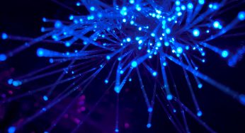 Lacework tracks Moobot: botnet that targets vulnerable Docker APIs